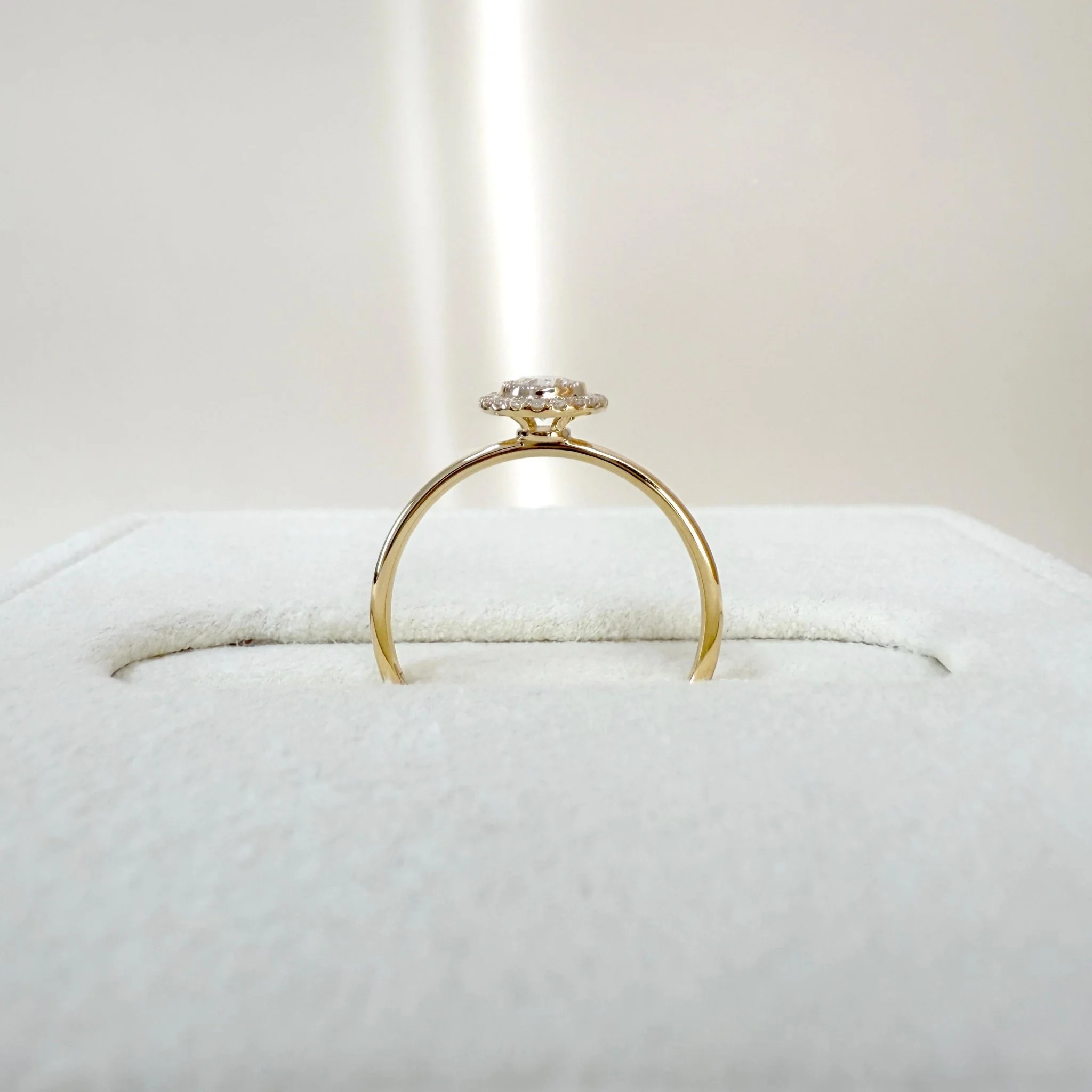 Round Lab Grown Diamond Halo Promise Ring In 14K Solid Gold/Platinum - Image 8
